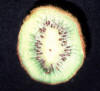 kiwi fruit