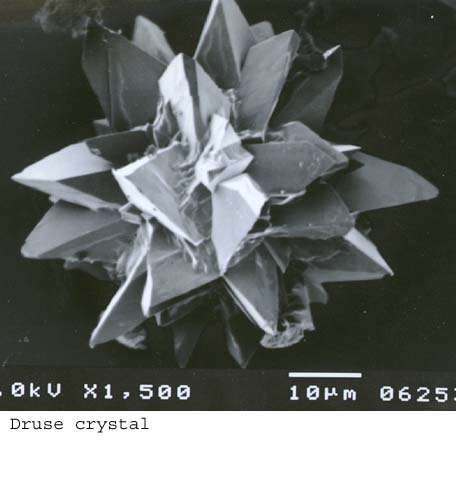 SEM0055