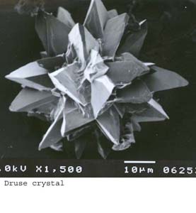 SEM0055
