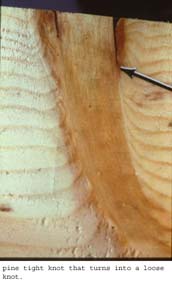 Anat0250