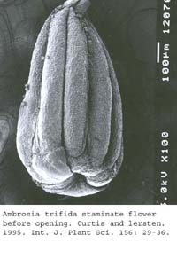 SEM0047