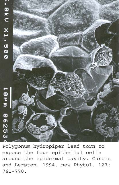 SEM0057