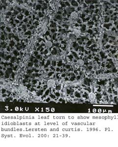 SEM0008