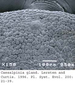 SEM0077