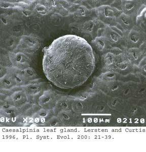 SEM0079