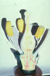 flower model, dicotyledon